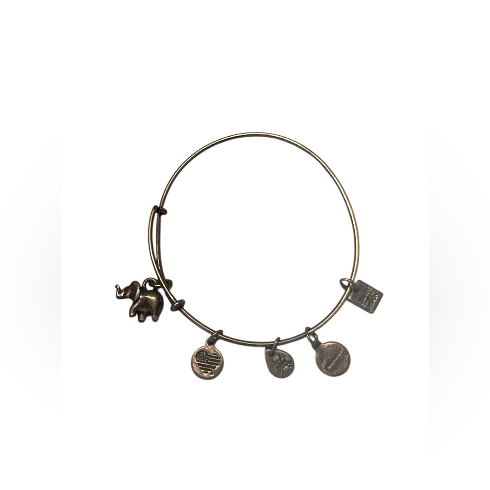 Alex and Ani Gold Charm Bracelet